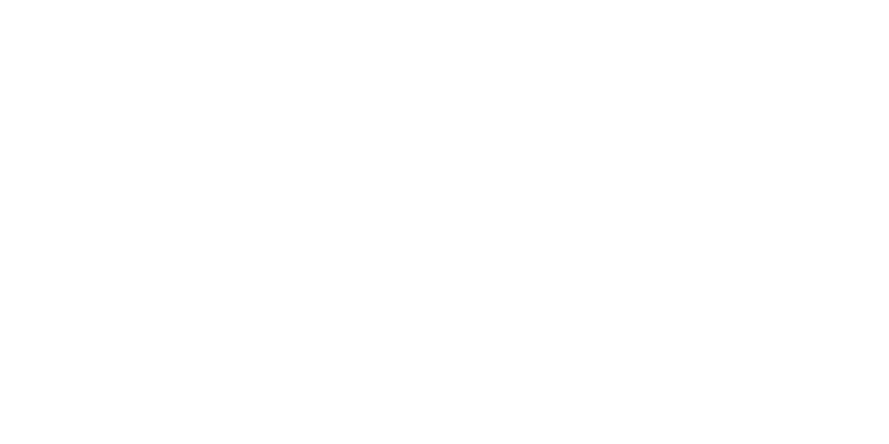 Damiano Viti 3000x1500