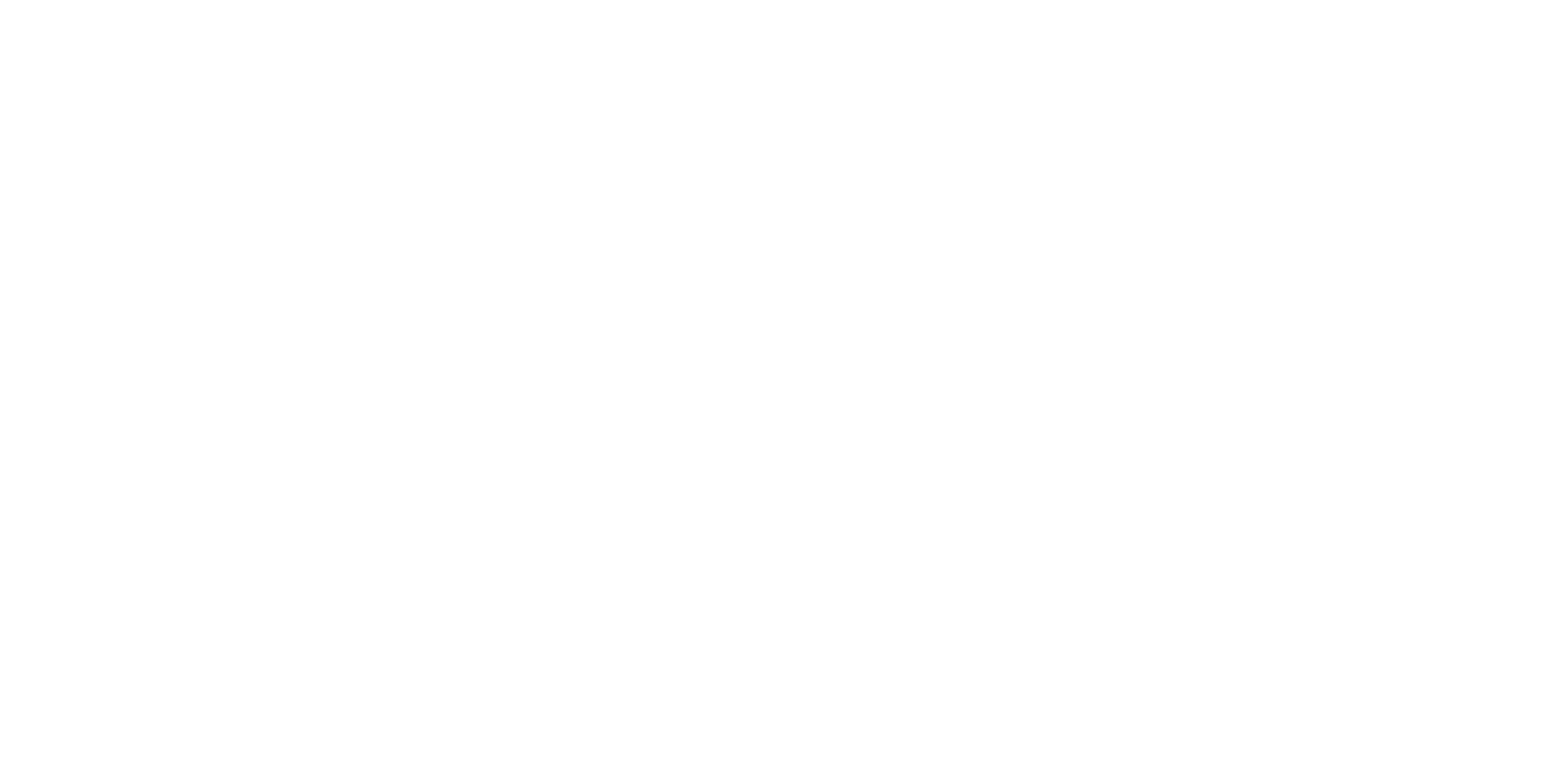 Damiano Viti 3000x1500