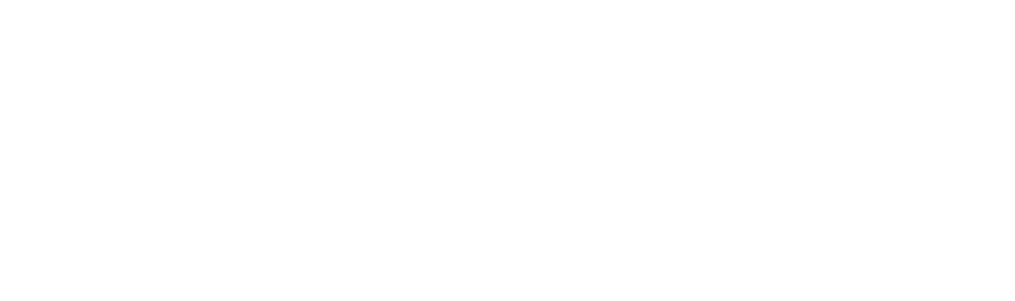 nethex w 01