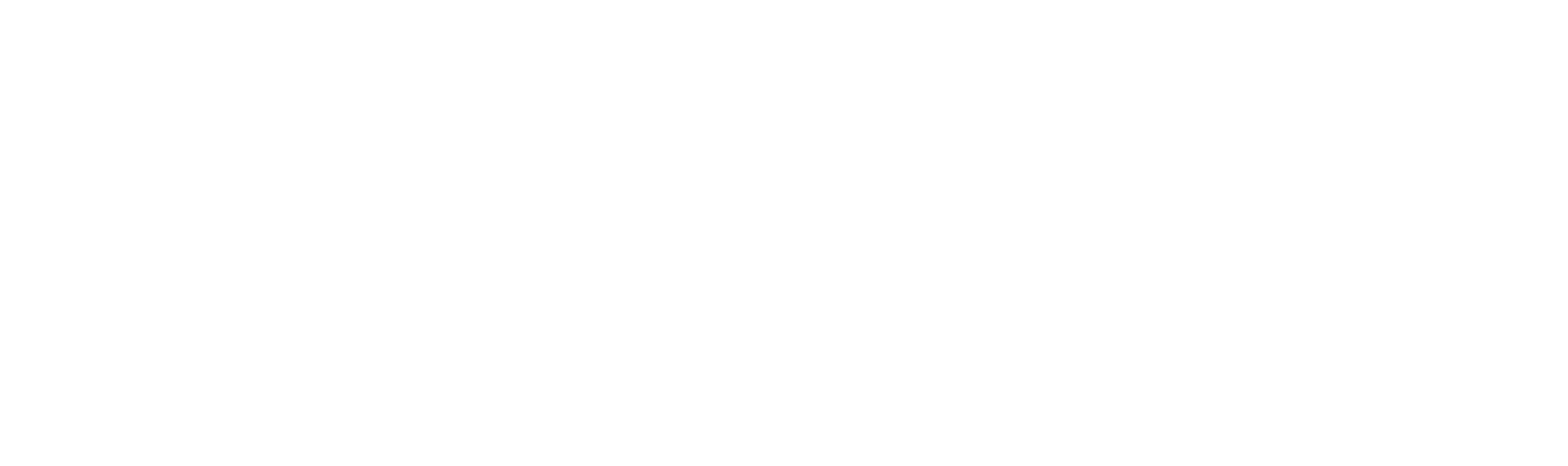 nethex w 01